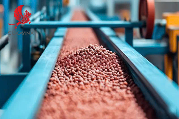 tong-quan-ve-con-lan-bang-tai 1.jpg (212 KB)